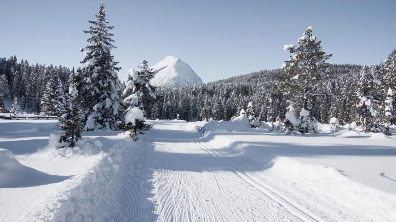 Haus Excelsior Top 29 Seefeld in Tirol Exteriör bild